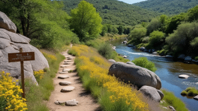 Glen Rose hiking