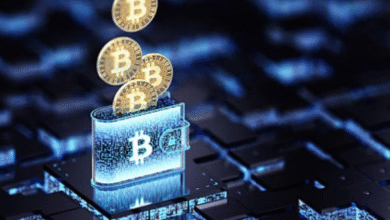 ecrypto1.com crypto wallets