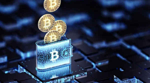 ecrypto1.com crypto wallets